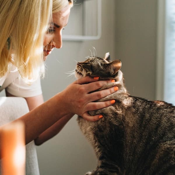 VetBro's vet examining dog in Jaipur